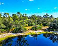 equine-properties-for-sale-in-bradenton-fl