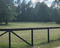 equine-boarding