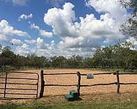 trail-pleasure-equine-equine-service-businesses