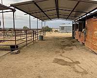dressage-businesses-in-bloomfield-nm
