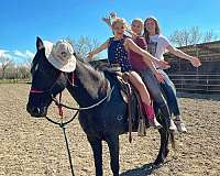 horse-riding-lessons-in-cody-wy
