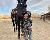 horse-equine-service-businesses-in-cody-wy