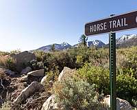 horse-boarding-in-mammoth-lakes-ca