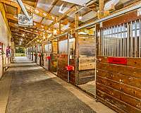 all-around-purpose-equine-equine-service-businesses