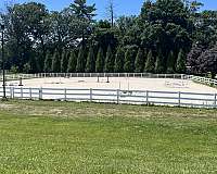 horse-equine-service-businesses-in-potomac-md