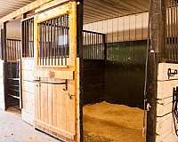 dressage-businesses-in-bowmanville-on