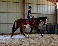 horse-trainers-in-kentucky