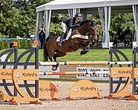 equine-boarding