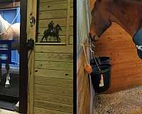 horse-equine-service-businesses-in-marshall-va