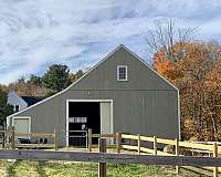 horse-equine-service-businesses-in-sudbury-ma