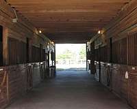 horse-boarding-in-loganville-ga