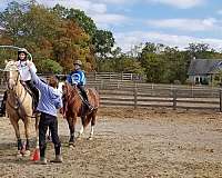 horse-riding-lessons-in-cross-junction-va