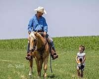 horse-equine-service-businesses-in-hastings-mn