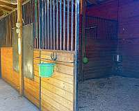 horse-equine-service-businesses-in-taylorsville-ga