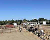 horse-equine-service-businesses-in-hanford-ca