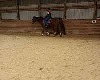 horse-riding-lessons-in-pennsylvania