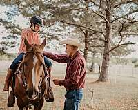 horse-boarding-in-texas