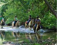 equine-trail-riding