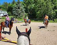 eventing-businesses-in-new-durham-nh