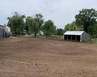 horse-equine-service-businesses-in-stacy-mn