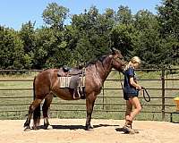 horse-riding-lessons-in-maysville-ok