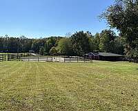 horse-equine-service-businesses-in-nokesville-va