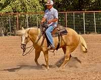 reining-businesses-in-poolville-tx