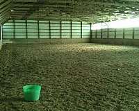 horse-equine-service-businesses-in-west-kingston-ri