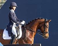 equine-boarding