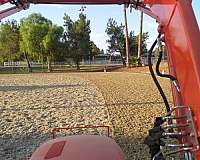 trail-horse-equine-service