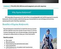 all-around-horse-equine-service