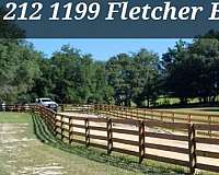 horse-equine-service-businesses-in-de-leon-springs-fl