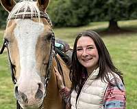 horse-real-estate-in-poulsbo-wa