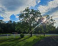 all-around-businesses-in-pen-argyl-pa