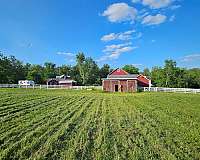 horse-boarding-in-pen-argyl-pa