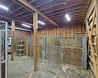 equine-boarding