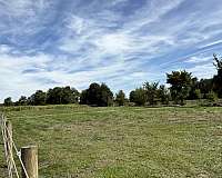 horse-boarding-in-ranson-wv