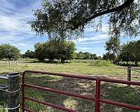 horse-equine-service-businesses-in-ranson-wv