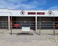 all-around-businesses-in-pahrump-nv