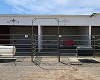 horse-boarding-in-pahrump-nv