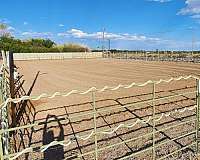 equine-boarding