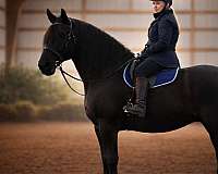 all-purpose-businesses-in-williamstown-ny