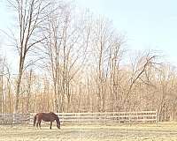 all-purpose-businesses-in-perrysville-oh