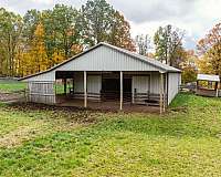 horse-boarding-in-perrysville-oh