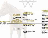 bar-w-quarter-horse