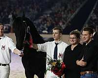 black-champion-horse