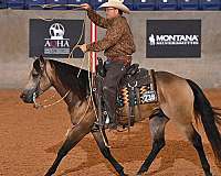 show-winner-horse