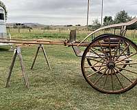 english-tack-supplies-lander-wy