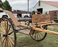 tan-tack-supplies-in-lander-wy