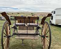 antique-tack-in-lander-wy